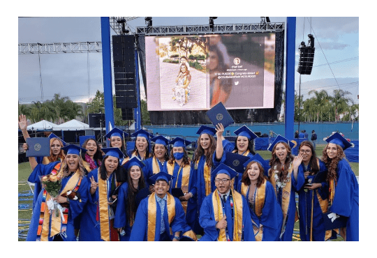 Schools And Universities